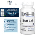 Geroprotect Autophagy Renew Stem Cell Ageless Cell/ USA ORi/Anti Aging/Vegan Capsules isi 60