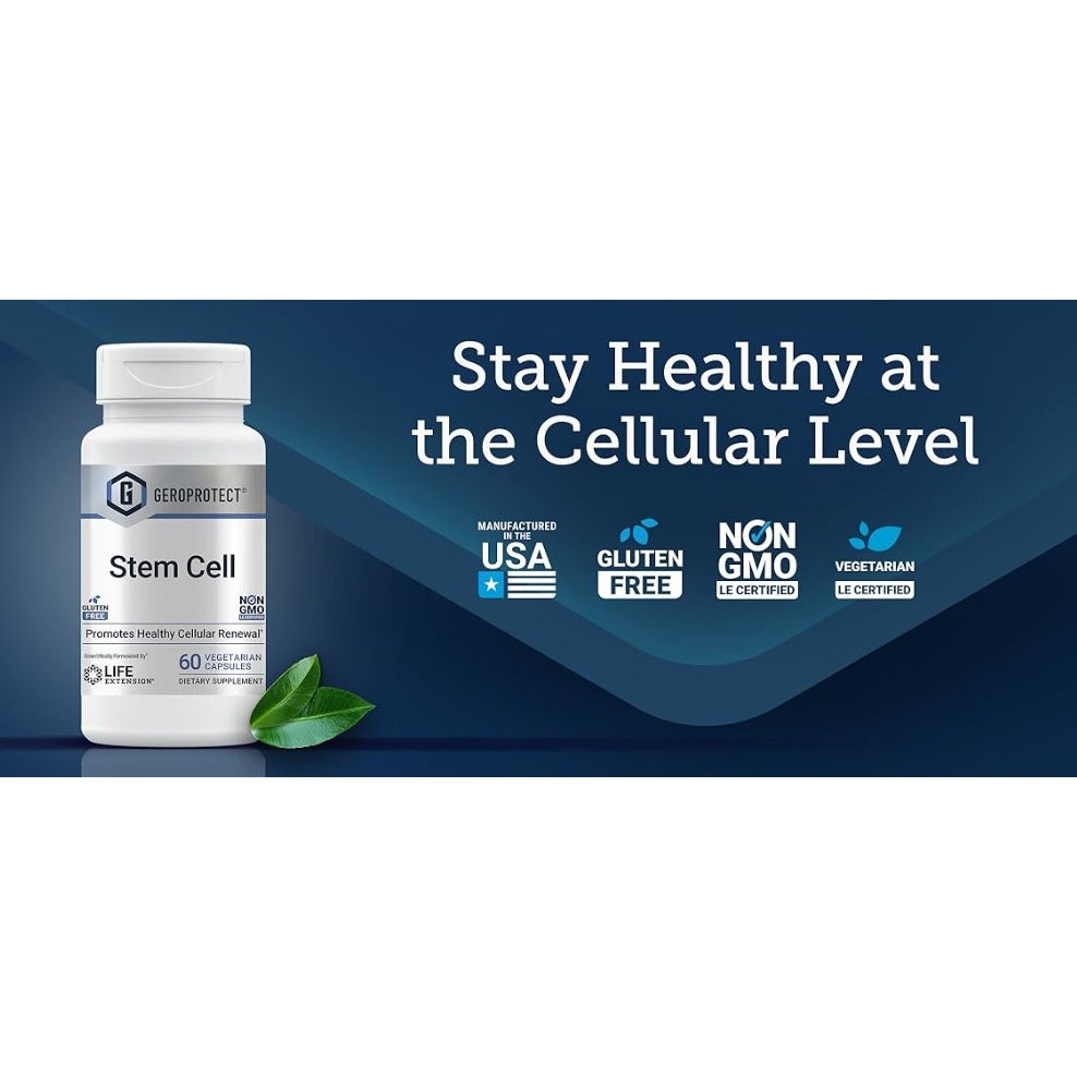 Geroprotect Autophagy Renew Stem Cell Ageless Cell/ USA ORi/Anti Aging/Vegan Capsules isi 60